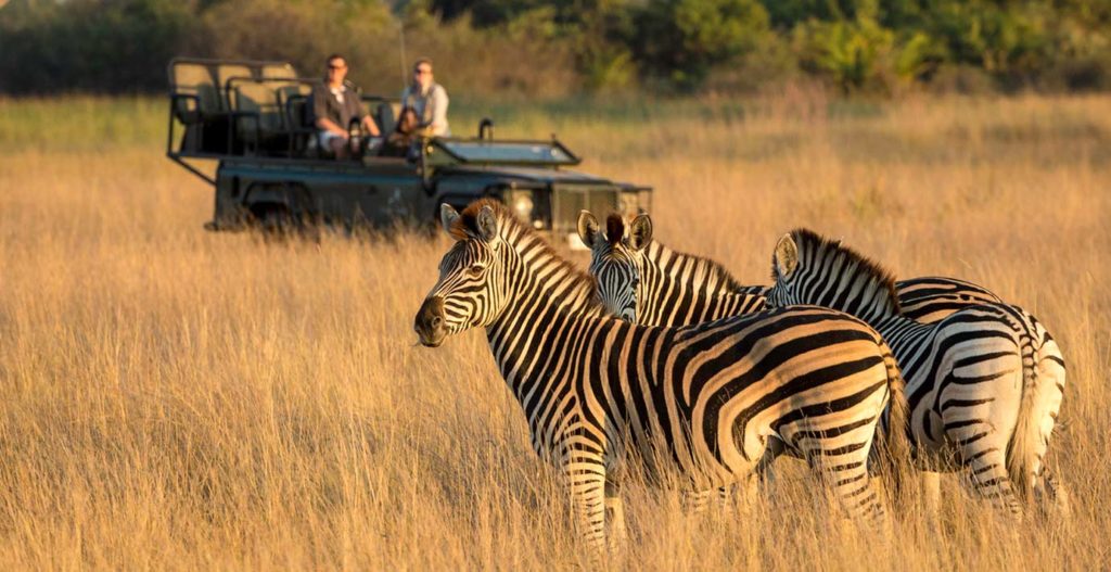 Game Drive (AM or PM) - $86