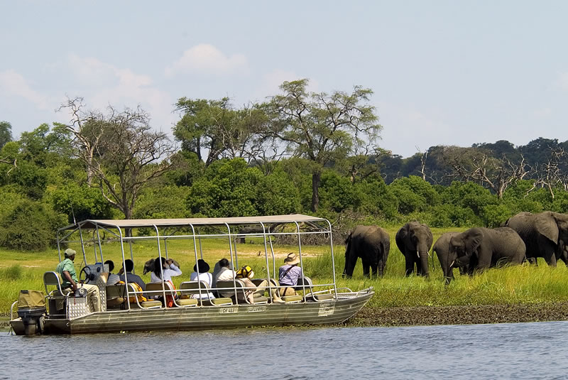 Full/Half Day Chobe Trip - $215